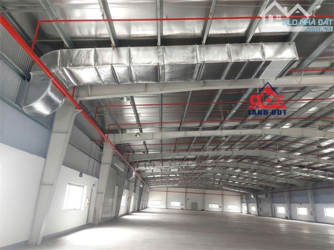 XT351 cho thuê nhà xưởng giấy phép đầy đủ phù hợp DN FDI, DN chế xuất theo QD KCN - 2
