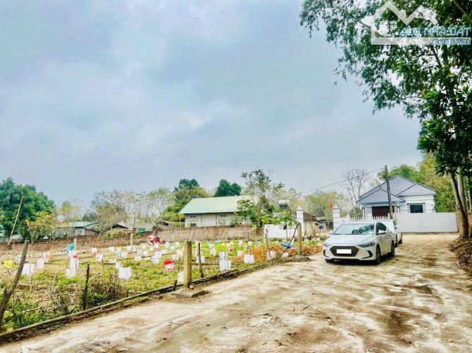 Không dùng đến em bán 123m2 đất chỉ 500tr Tam Dương - 2