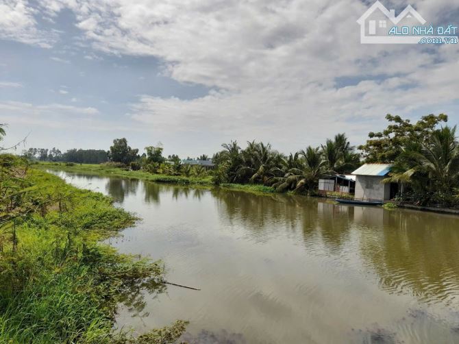 2100m2 có 338m2 thổ đường ôtô vew sông tân đông_ thạnh hoá 990 triệu rẻ - 2