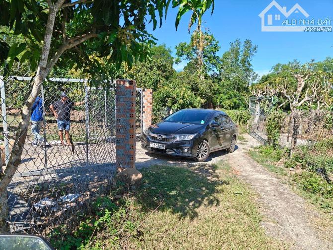 Chủ ko có thời gian chăm sóc và kinh doanh miếng đất rẫy 2,6 Héc nên cần bán cho chủ mới c - 2