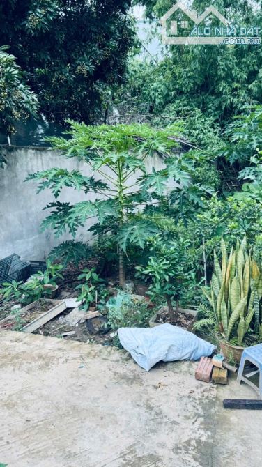 ❗CỰC HIẾM❗️46m² ___GIÁ NHỈNH 3TỶ . X ___      2 BƯỚC CHÂN RA ĐƯỜNG OTO TRÁNH - 2