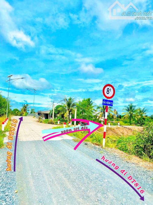 BÁN ĐẤT MẶT TIỀN VIEW SÔNG GIÁ RẺ TẠI BẾN LỨC - 2