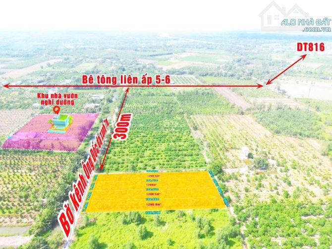 Bán lô đất mặt tiền view sông Ông Đốc tại Bến Lức || Giá chỉ 999triệu/1000m² - 2