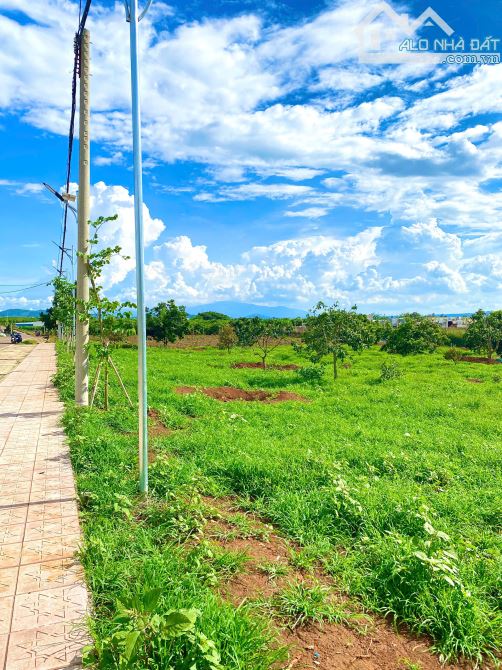 2 TỶ 3 Sở Hữu Ngay 500M² Đất Mặt Tiền – Sổ Riêng – Vùng Ven Đà Lạt Gần Sân Bay - 3