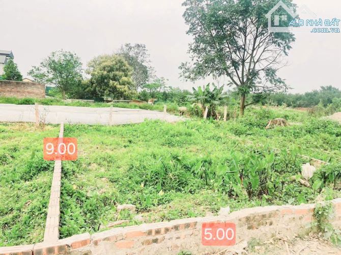🌟 BÁN GẤP LÔ ĐẤT ĐẸP – BẾN TRUNG – BẮC HỒNG – ĐÔNG ANH, NGÕ THÔNG Ô TÔ – GIÁ NHỈNH 3TỶ T - 3