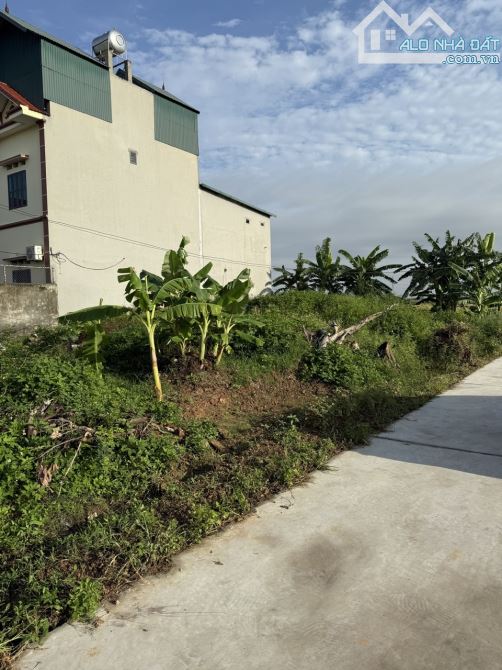 Bán Đất Đức Giang, Yên Dũng, Bắc Giang. 93m2- Mt 7m ( Lô Góc). Giá 860 triệu - 3