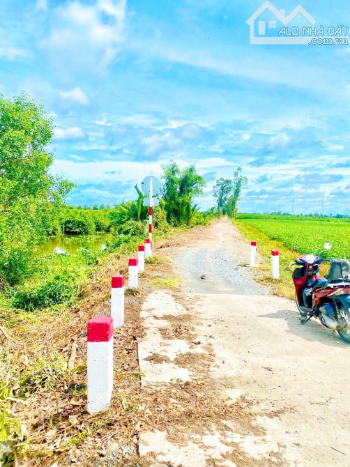 BÁN ĐẤT MẶT TIỀN VIEW SÔNG GIÁ RẺ TẠI BẾN LỨC - 3