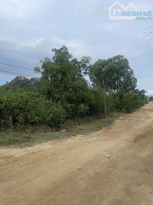 Kẹt tiền bán 6.640m2 giá 2ty9, sổ đỏ gần khu du lịch mũi dinh, ninh phước, ninh thuận - 4