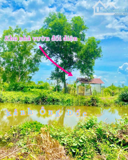 Bán lô đất mặt tiền view sông Ông Đốc tại Bến Lức || Giá chỉ 999triệu/1000m² - 4