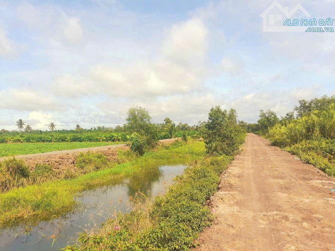 Hàng Vip, 2500m2 đất vườn view kênh chuyển thổ chỉ 1.8 tỷ - 5