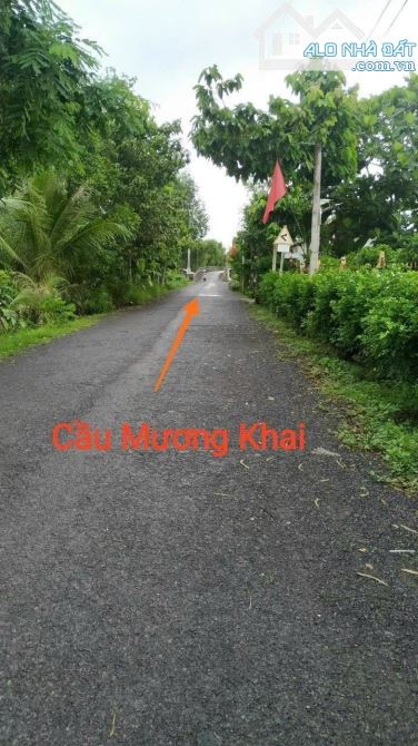 Nền 650 triệu Nền đường Tân Hạnh, gần cầu Kho đường tránh QL1A và chợ Hàn Thẻ, TP Vĩnh Lon - 5