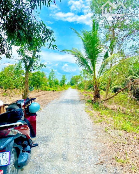 Bán lô đất mặt tiền view sông Ông Đốc tại Bến Lức || Giá chỉ 999triệu/1000m² - 5