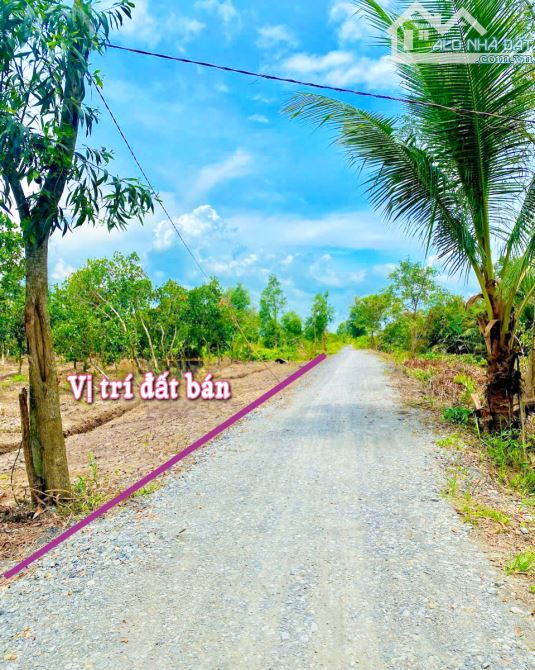 Bán lô đất mặt tiền view sông Ông Đốc tại Bến Lức || Giá chỉ 999triệu/1000m² - 6