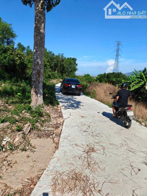 Chủ ko có thời gian chăm sóc và kinh doanh miếng đất rẫy 2,6 Héc nên cần bán cho chủ mới c - 7