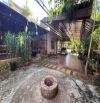 Nhà vườn 450m2 trung tâm TP- Đ Lương Thế Vinh, Tân Tiến- Gía 4tr/th