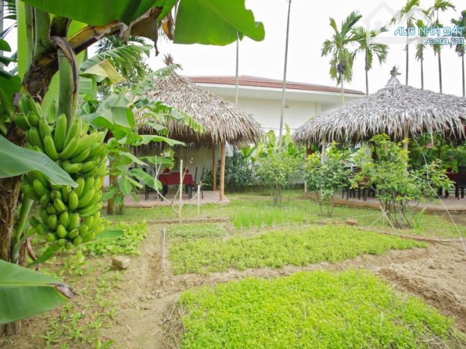 Chào bán đất Cẩm Thanh Hội An. Địa thế đẹp có view sông. - 2