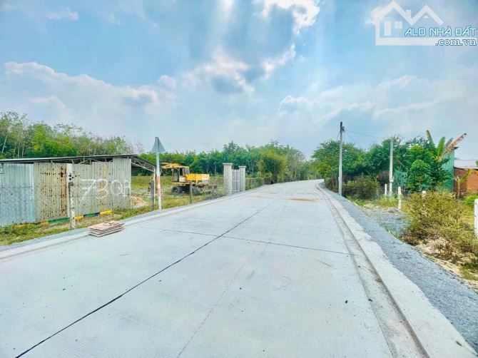 Cần bán đất mặt tiền Bùi Thị Mộng 1/ đường Phú Thuận xã Phú Mỹ Hưng 50x60 300m thổ cư 3100