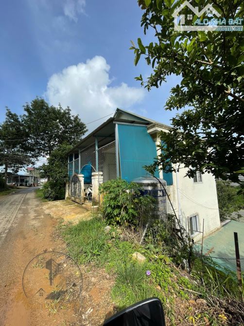 🏡 Đất Biệt Lập View Săn Mây Huỳnh Tấn Phát, Đà Lạt - Cơ Hội Vàng! - 16 TỶ