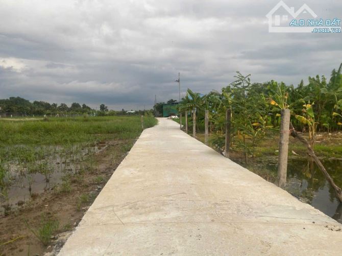 💎 Bán cặp nền thổ cư (5 x 22.6m) đan xe hơi, ấp Ông Cai, xã Tân Trung, TP Gò Công cũ