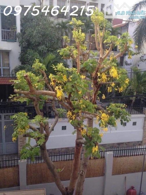 Bán villa góc 2 mặt tiền đường 61 – Thảo Điền, TP. Thủ Đức – 360m² – thu nhập