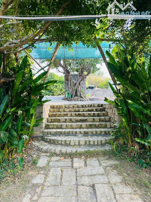 Bán nhanh Homestay nghỉ dưỡng đang vận hành tại xã Đất Đỏ,TDT:gần 12.000m2 giá bán:19,9 tỷ - 10