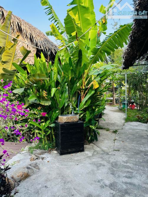 Bán nhanh Homestay nghỉ dưỡng đang vận hành tại xã Đất Đỏ,TDT:gần 12.000m2 giá bán:19,9 tỷ - 11