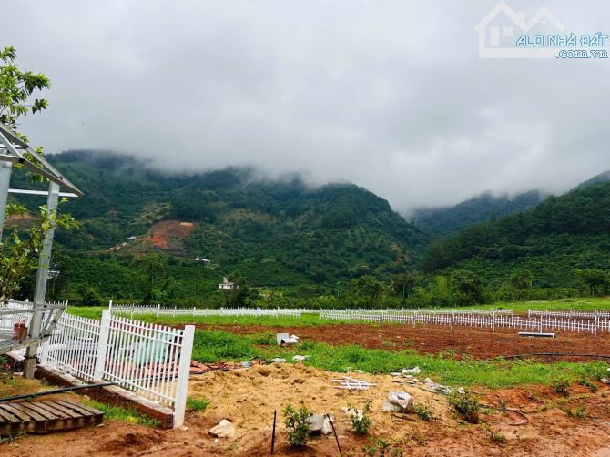 Ngay KDL 7 Tầng - View Phật Bà . SHR 172M2 , 73M2 THỔ CƯ . GIÁ RẺ - 1