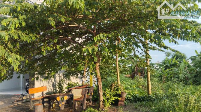 Bán đất dịch vụ Đồng Mai khu 1, đất đẹp ko lỗi nhỏ, 50m2, mt 4m giá chỉ 7 tỷ hơn - 1