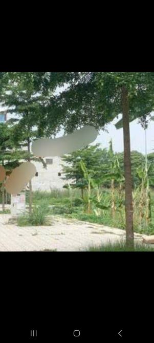 CẦN TIỀN BÁN GẤP ĐẤT THỊ TRẤN HẬU LỘC THANH HÓA-DT 350M, MT 12M-LÔ GÓC-KINH DOANH-CHỈ7TR/M - 1