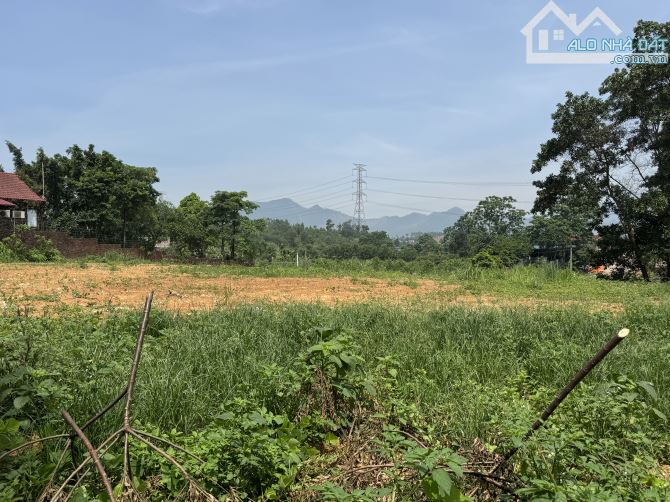 Chính chủ bán đất Sóc Sơn, 1.250m sẵn thổ cư đường rộng 5m, ô tô vào tận đất - 1
