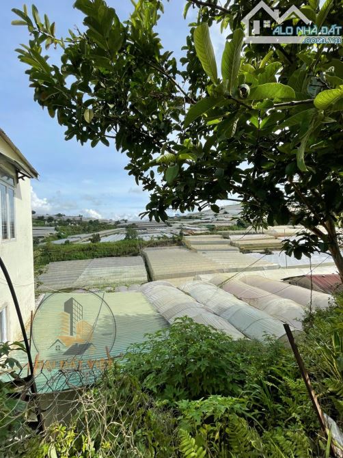 🏡 Đất Biệt Lập View Săn Mây Huỳnh Tấn Phát, Đà Lạt - Cơ Hội Vàng! - 16 TỶ - 1