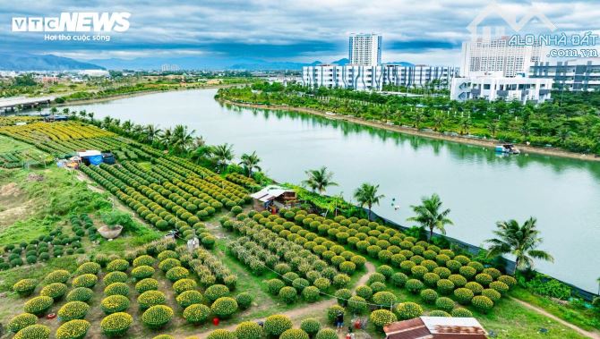 Cho thuê nhiều căn APT Thương Mại từ 2PN - 3PN giá tốt - 1