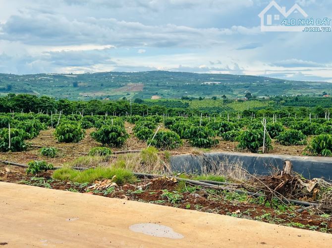 Cần bán 1000m2 xã tân thành Đức Trọng giá rẻ - 1