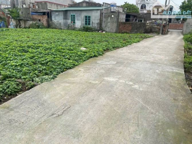 Chào bán 1 lô đất đẹp tại TDP Đông, phường Hoàng Lâm (Lâm Động) ngay gần đường 203 - 1