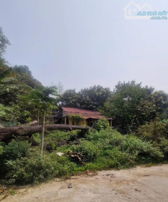 Bán đất 1300m² hàng hiếm tại Gia Thượng, Long Biên – mặt tiền rộng 36m – chỉ 69 triệu/m² - 1