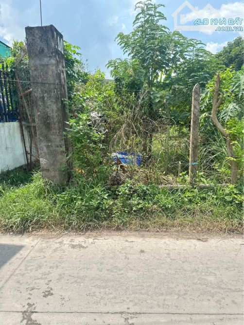 BÁN NHANH LÔ ĐẤT 160M2- GIÁ 1 TỶ 500TR- CÁCH CHỢ MỸ HẠNH NAM 1KM - GIÁ TỐT - 2