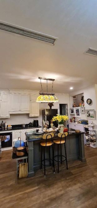 Biệt thự vườn Thạch Bàn ngay sát AEON Long Biên DT 144m2 MT 8m x 4T full nội thất - 2