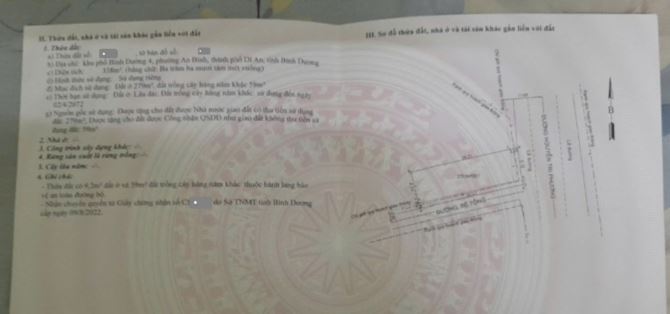 Bán lô góc 15x33m, mặt tiền Nguyễn Tri Phương p.An Bình, đang thuê 50tr/th - 2