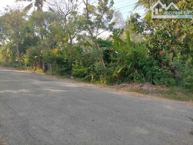 Bán đất lớn P Khánh Hậu TP Tân An, Long An - 2