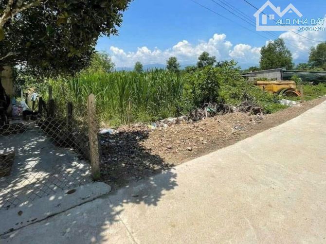 Bán đất Diên Xuân giá rẻ ngay trung tâm khu bàn cờ dân cư thôn Xuân Nam - 2