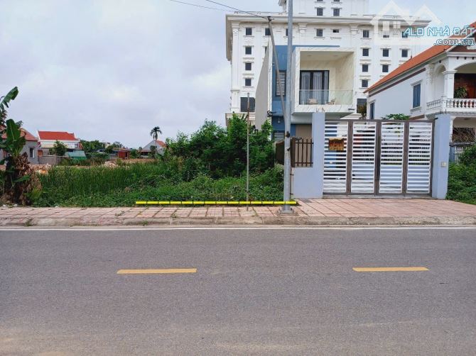 158,5m2 Cẩm La, Thanh Sơn, Kiến Thụy - 2