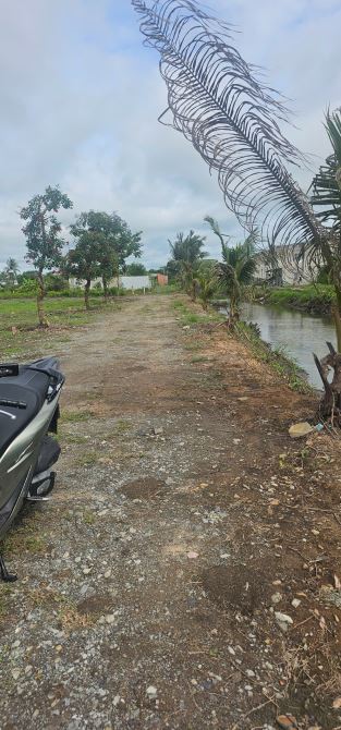 Bán đất tại  Hựu Thạnh, Đức Hòa, Long An, 1,55 tỷ, 200m2 bao đẹp - 2