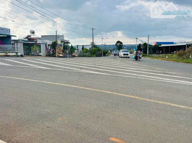 Cần bán 1000m2 xã tân thành Đức Trọng giá rẻ - 2
