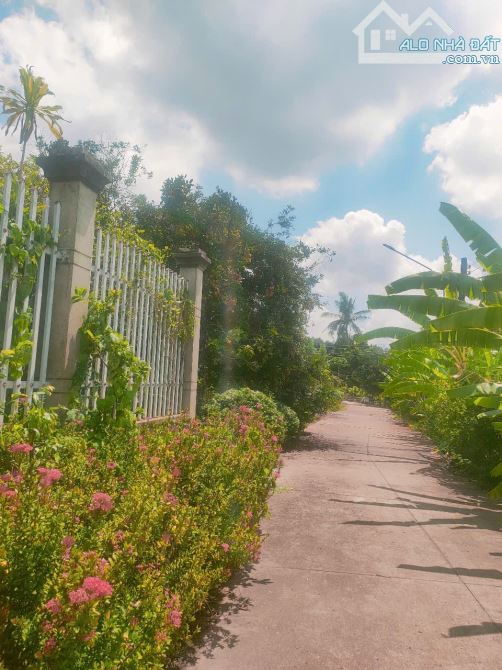 Bán đất đường Bê Tông Gần Công viên Bờ kè Khu phố 1 Thị Trấn Tân Biên 71x55m - 2