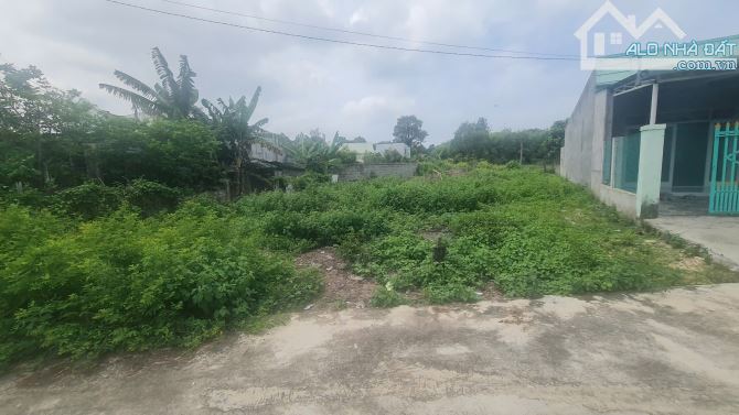 bán đất 14,5x41 lô2 Nguyễn Tri Phương, Tân BÌnh, Thị xã LaGi, Bình Thuận. Giá RẺ - 2