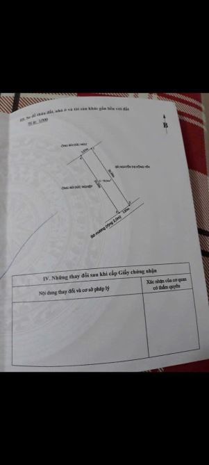 lô đất 78m2 mặt đường Thượng Đức - Minh Đức - Đồ Sơn - 3