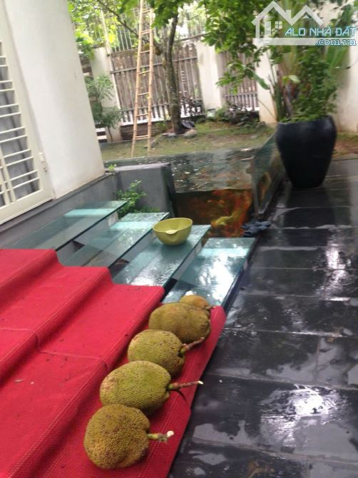 Cho thuê MBKD lô góc  Trần Thủ Độ – Hoàng Mai, 300m² – MT 35m – từ 100tr/tháng - 3