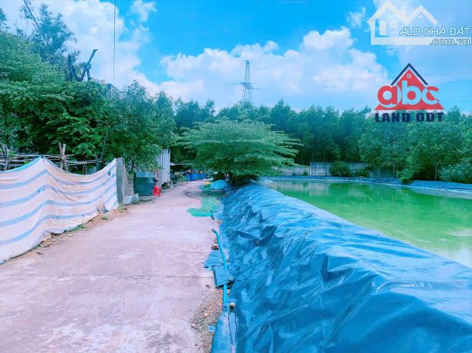 D132 🏚️ bán 2000m2 đất Xã Thiện Tân - có có thổ cư - qui hoạch đất ở - giá 5tỉ990 triệu + - 3