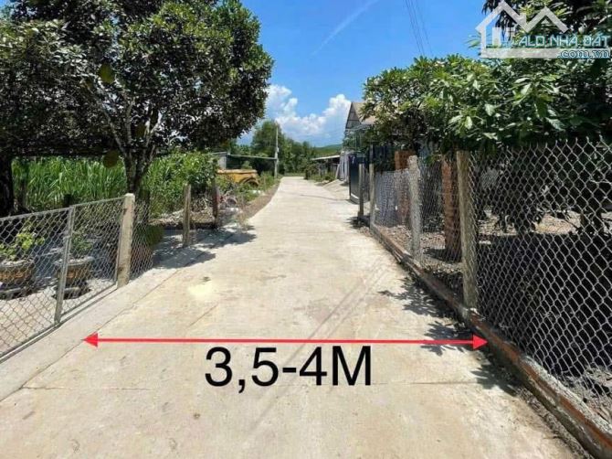 Bán đất Diên Xuân giá rẻ ngay trung tâm khu bàn cờ dân cư thôn Xuân Nam - 3