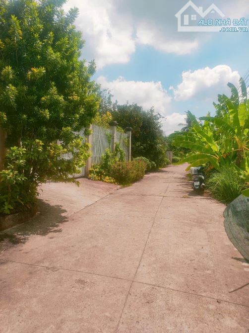 Bán đất đường Bê Tông Gần Công viên Bờ kè Khu phố 1 Thị Trấn Tân Biên 71x55m - 3